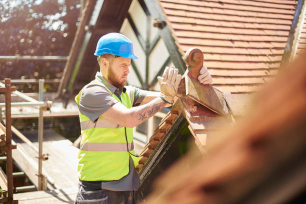 Best Roof Gutter Cleaning  in Stanfield, OR